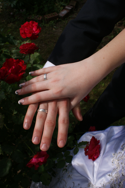 Die Hände eines Brautpaares mit Trau-Ringen und Rosen im Hintergrund